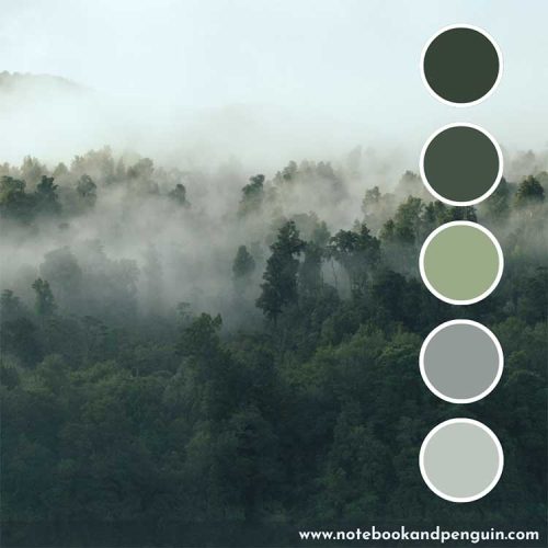 7 Beautiful Sage Green Color Palette Ideas With Hex Codes 7220