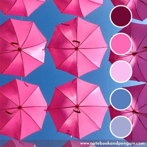 Bold Hot Pink Color Palette Ideas With Hex Color Codes