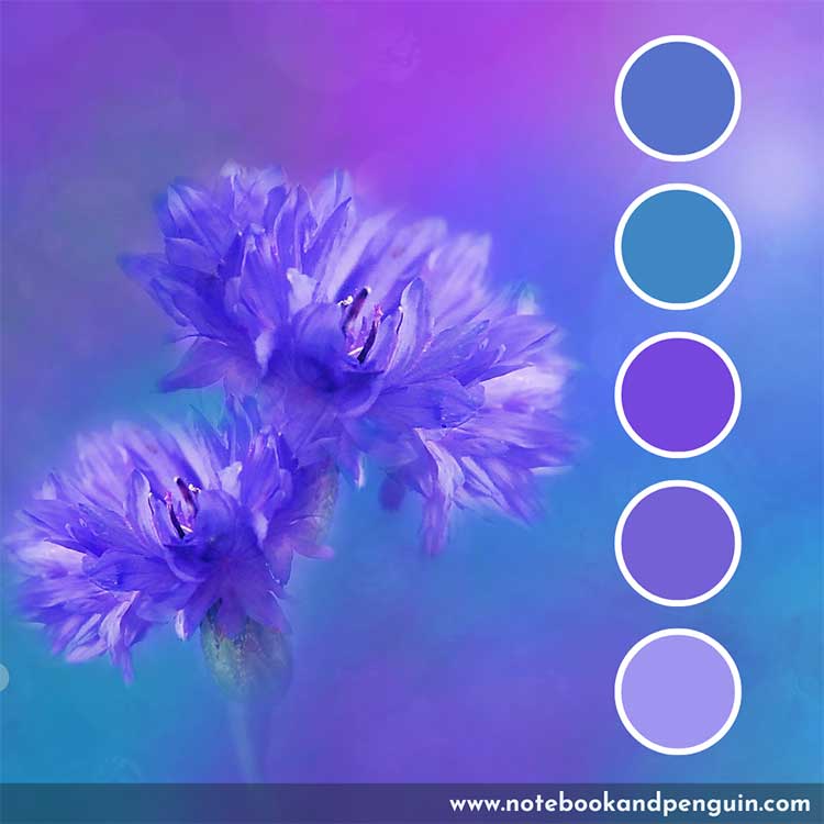 blue violet color palette