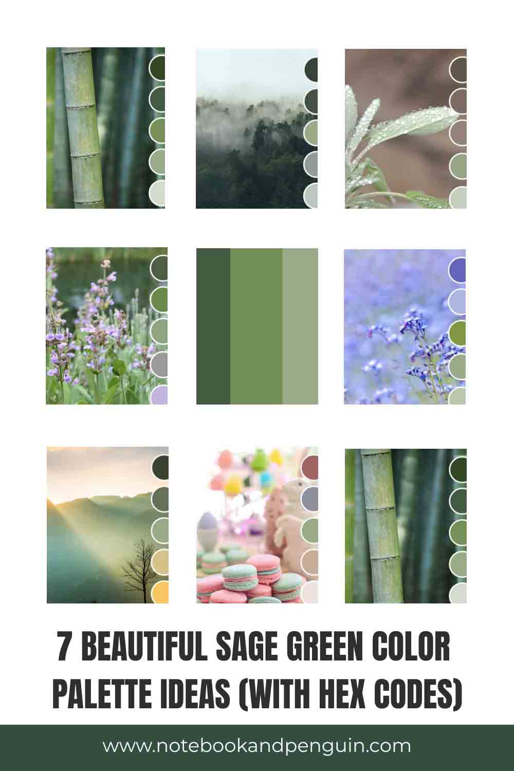 7-beautiful-sage-green-color-palette-ideas-with-hex-codes