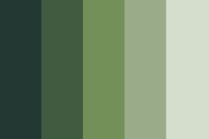 7 Beautiful Sage Green Color Palette Ideas (With Hex Codes)