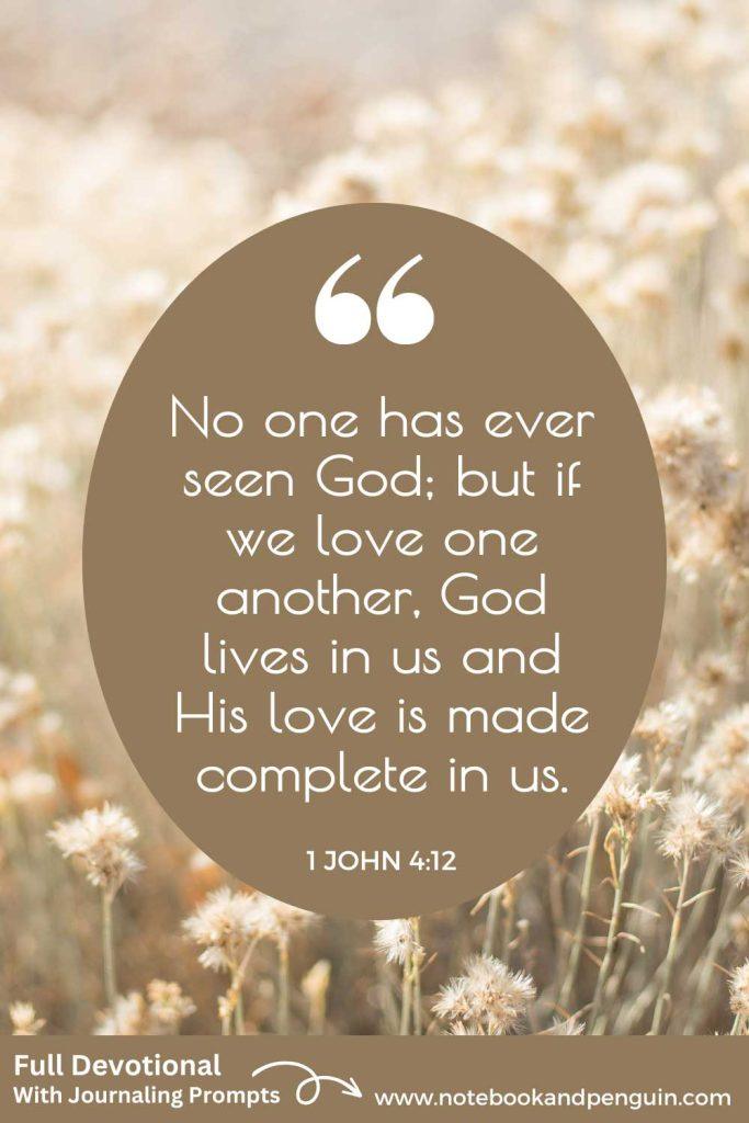 1 John 4:13 Devotional and Journaling Prompts Pinterest Pin
