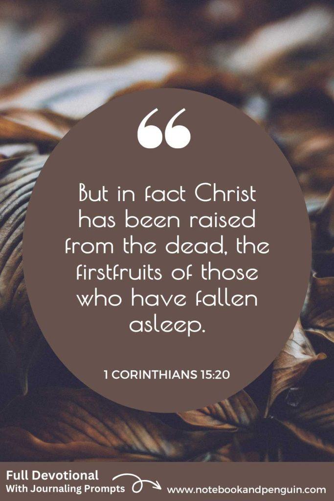1 Corinthians 15:11 Pinterest Pin