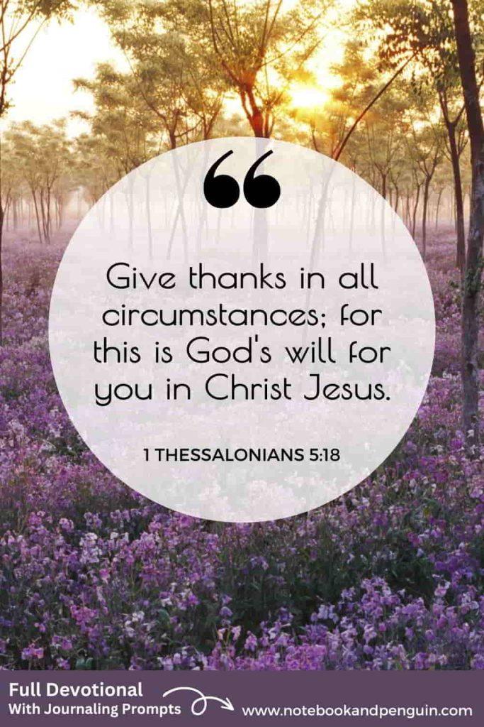 Devotional about giving thanks no matter the circumstances