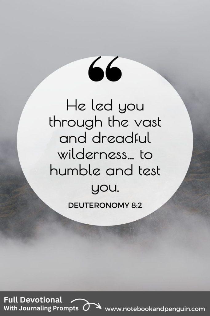 Deuteronomy 8:2 Devotional