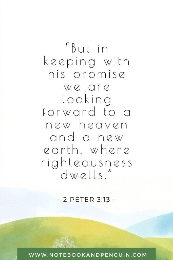 “But in keeping with his promise we are looking forward to a new heaven and a new earth, where righteousness dwells.”
2 Peter 3:13 Bible Verse