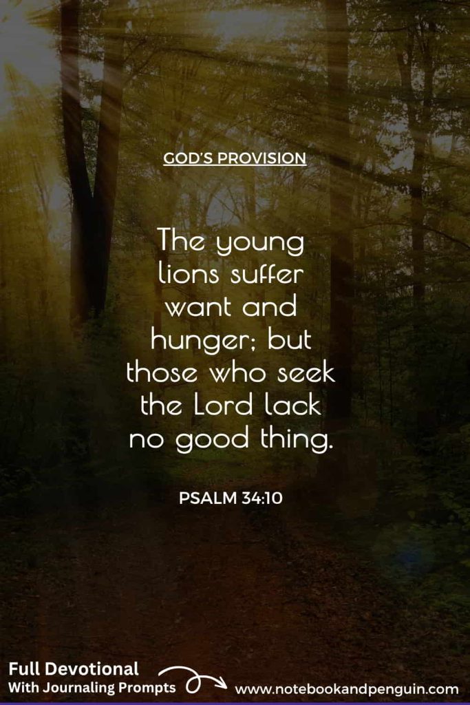 "Those who seek the Lord lack no good thing". Pinterest Pin