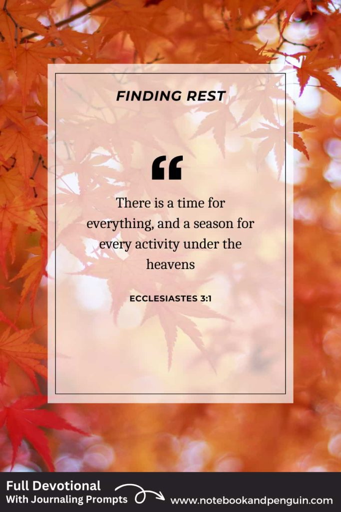 There is a time for everything Bible verse