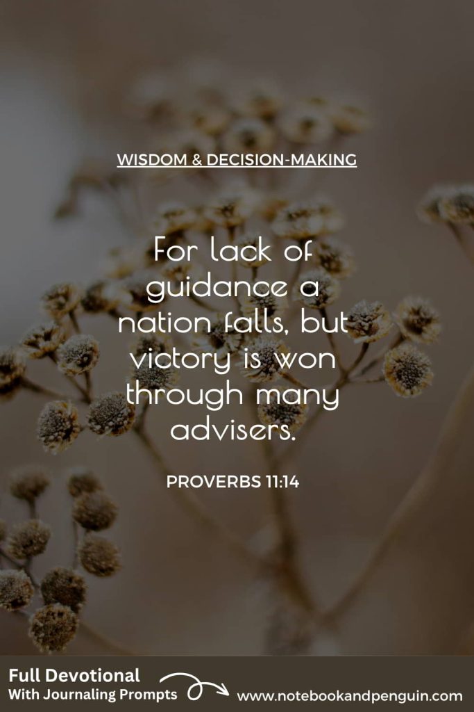 Proverbs 11:14 Devotional Pinterest Pin