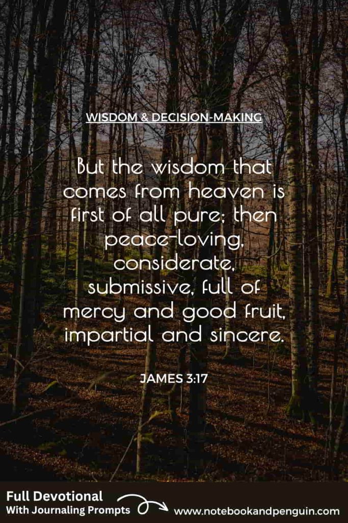 James 3:17 Devotional Pinterest Pin