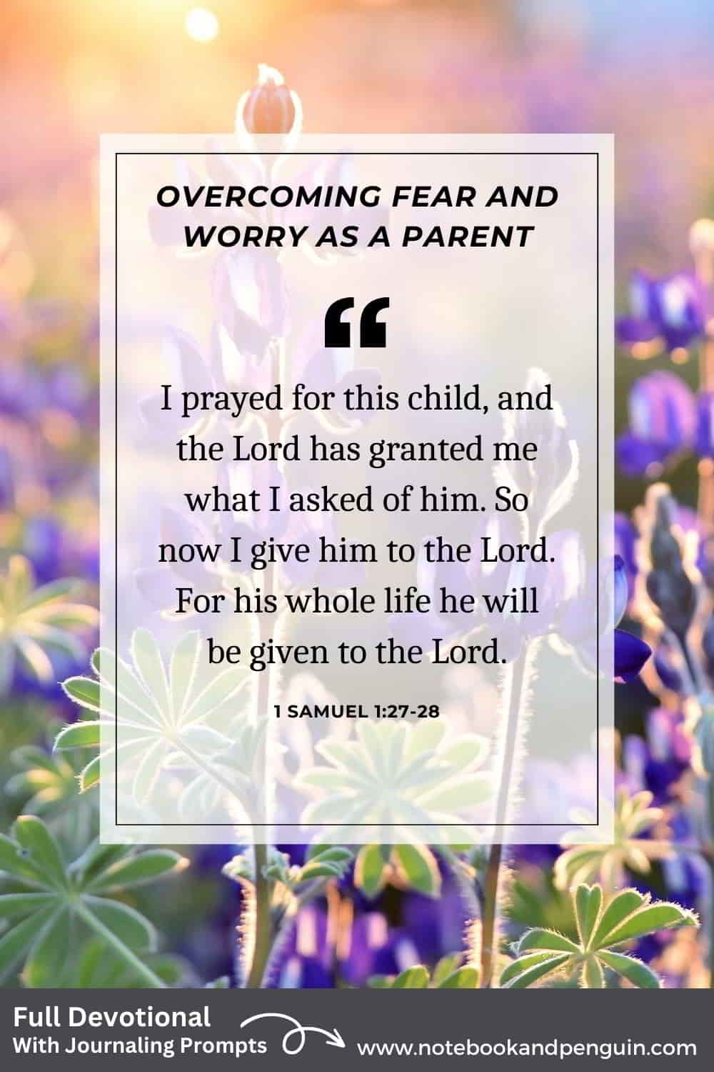 Devotional for when you are worried about your children