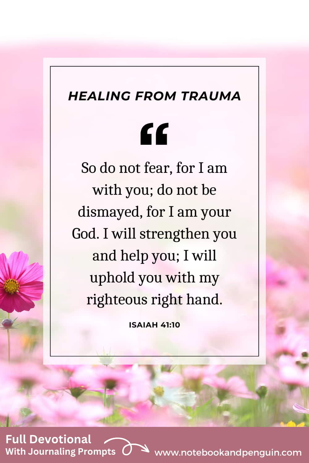 Devotional about healing trauma