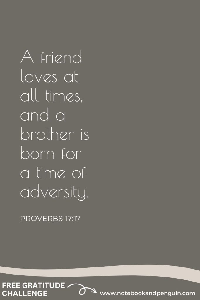 Being thankful for friendship - PROVERBS 17:17