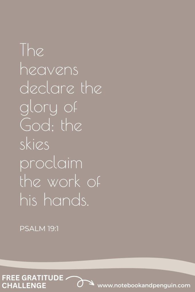 Giving thanks for God's creation